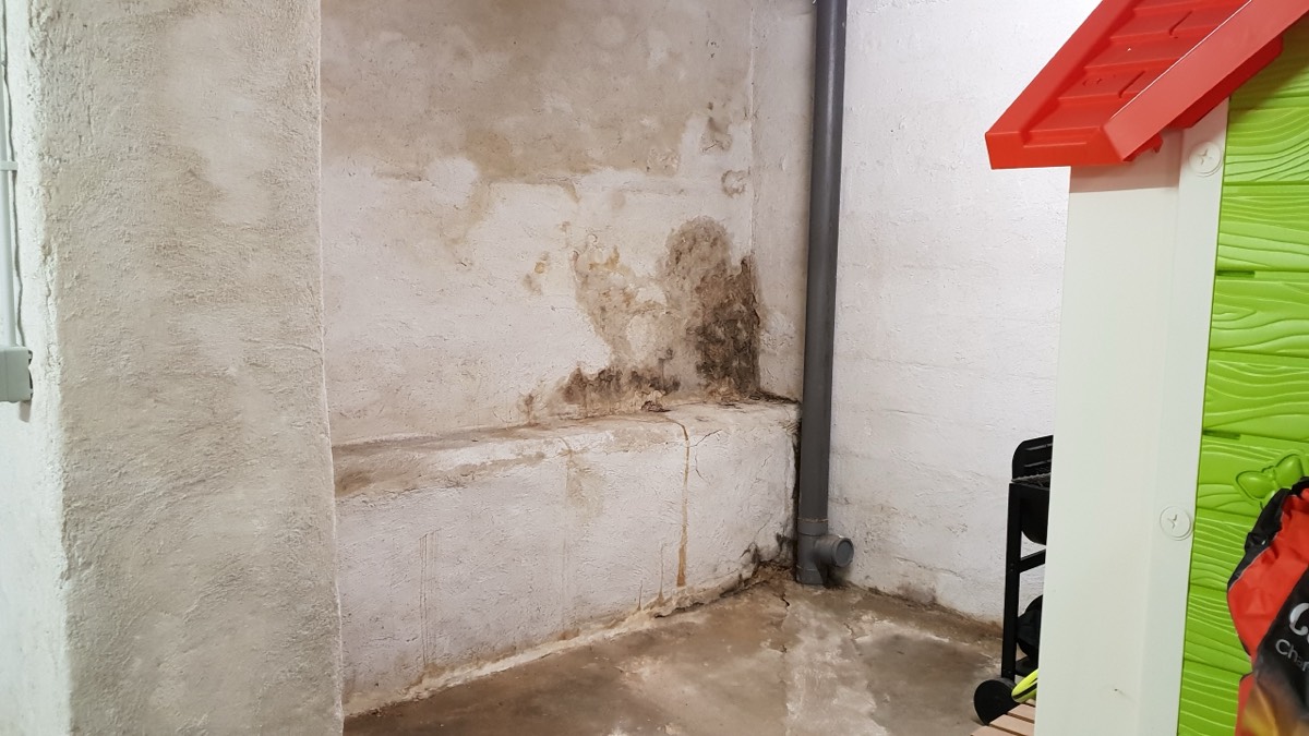 Infiltrations d'eau - Expertise humidité à Montluçon